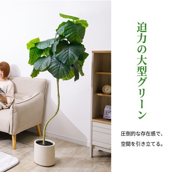 フェイクグリーン 155cm (ウンベラータ SN) 5枚目画像