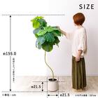 フェイクグリーン 155cm (ウンベラータ SN) 13枚目画像