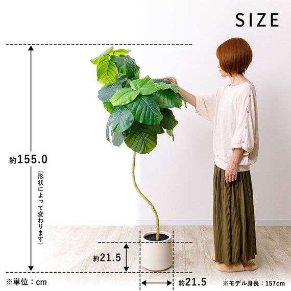 フェイクグリーン 155cm (ウンベラータ SN) 13枚目画像