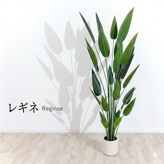 大型フェイクグリーン 195cm (レギネ SN) 1枚目画像