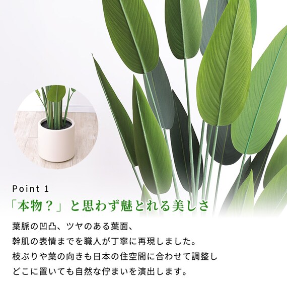 大型フェイクグリーン 195cm (レギネ SN) 4枚目画像