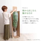 大型フェイクグリーン 195cm (レギネ SN) 7枚目画像