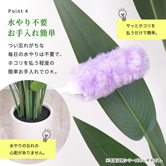 大型フェイクグリーン 195cm (レギネ SN) 10枚目画像