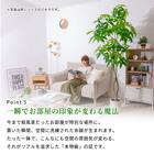 大型フェイクグリーン 195cm (レギネ SN) 11枚目画像