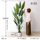 大型フェイクグリーン 195cm (レギネ SN) 13枚目画像