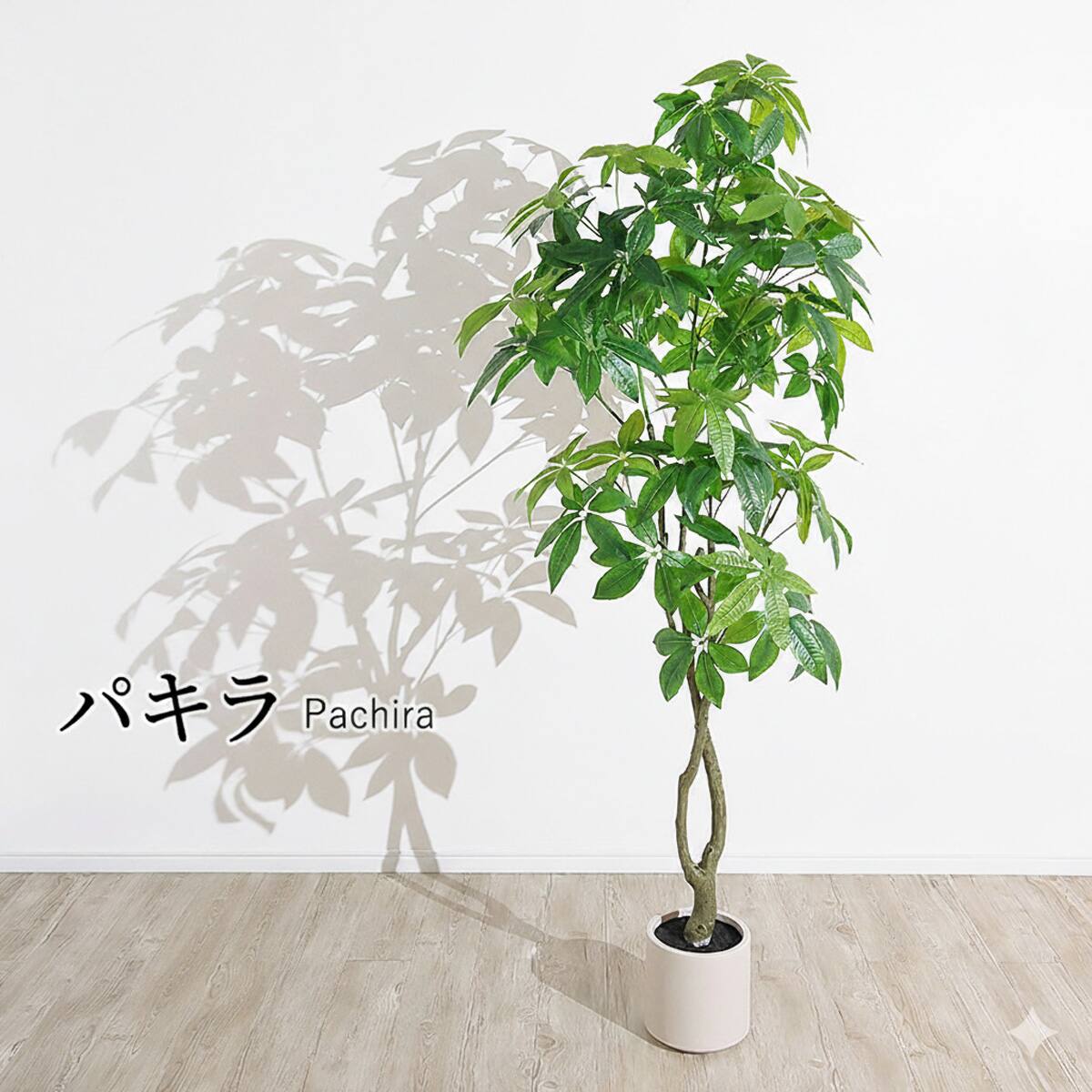 大型フェイクグリーン 195cm (パキラ SN) | ニトリネット【公式】 家具