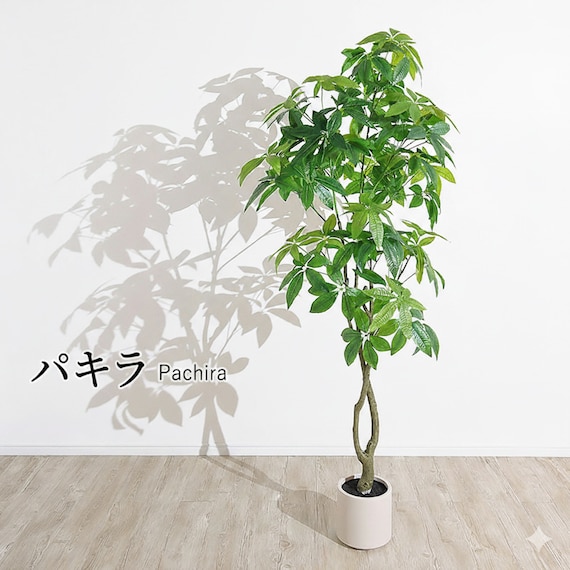 大型フェイクグリーン 195cm (パキラ SN) 1枚目画像