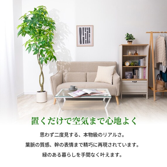 大型フェイクグリーン 195cm (パキラ SN) 2枚目画像