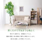 大型フェイクグリーン 195cm (パキラ SN) 2枚目画像