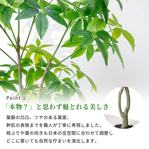 大型フェイクグリーン 195cm (パキラ SN) 4枚目画像