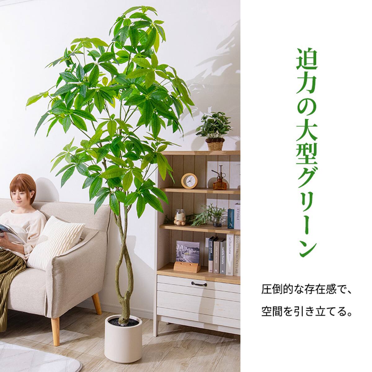 大型フェイクグリーン 195cm (パキラ SN) | ニトリネット【公式】 家具