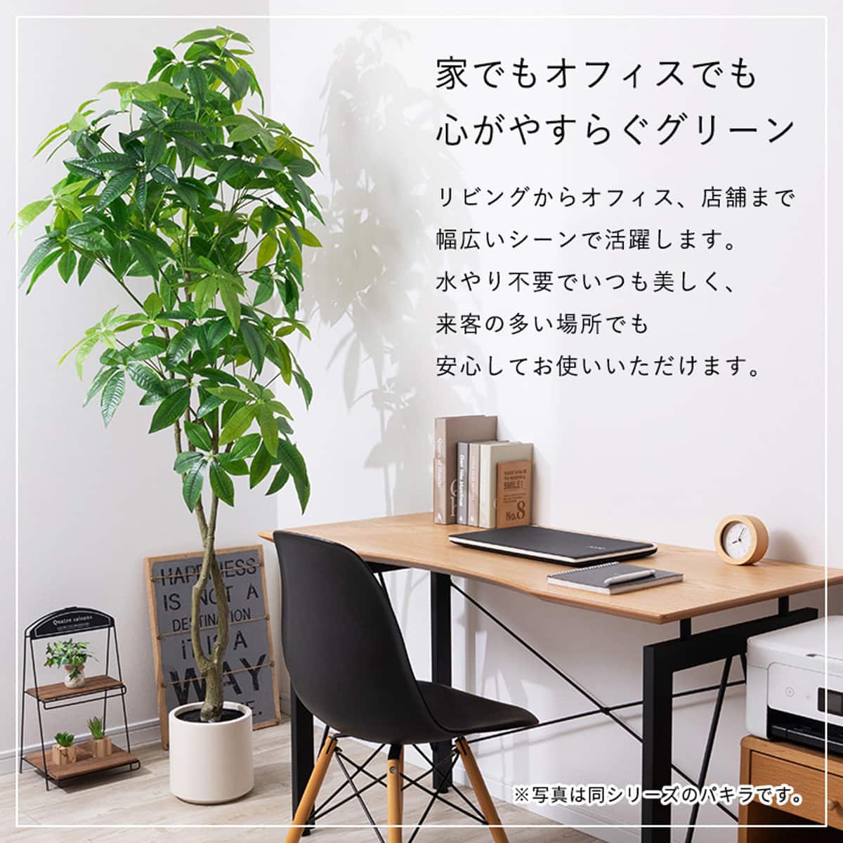 大型フェイクグリーン 195cm (パキラ SN) | ニトリネット【公式】 家具