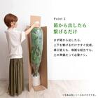 大型フェイクグリーン 195cm (パキラ SN) 7枚目画像