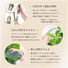 大型フェイクグリーン 195cm (パキラ SN) 9枚目画像