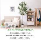 大型フェイクグリーン 195cm (オリーブ SN) 2枚目画像