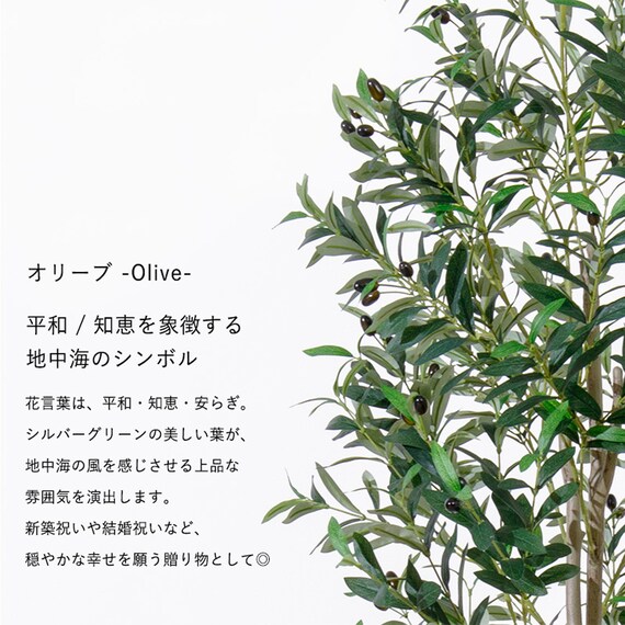大型フェイクグリーン 195cm (オリーブ SN) 3枚目画像