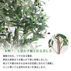 大型フェイクグリーン 195cm (オリーブ SN) 4枚目画像