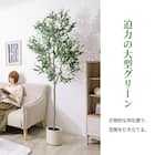 大型フェイクグリーン 195cm (オリーブ SN) 5枚目画像