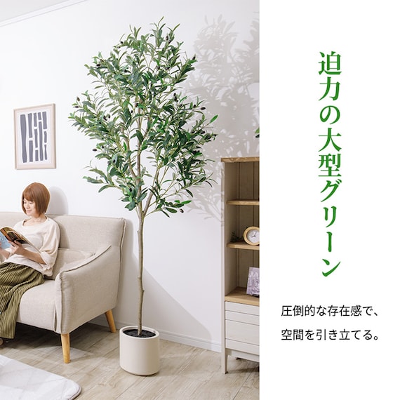 大型フェイクグリーン 195cm (オリーブ SN) 5枚目画像