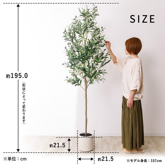 大型フェイクグリーン 195cm (オリーブ SN) 13枚目画像