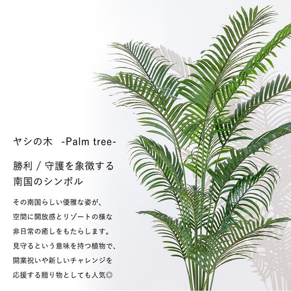 大型フェイクグリーン 200cm (ヤシの木 SN) 3枚目画像