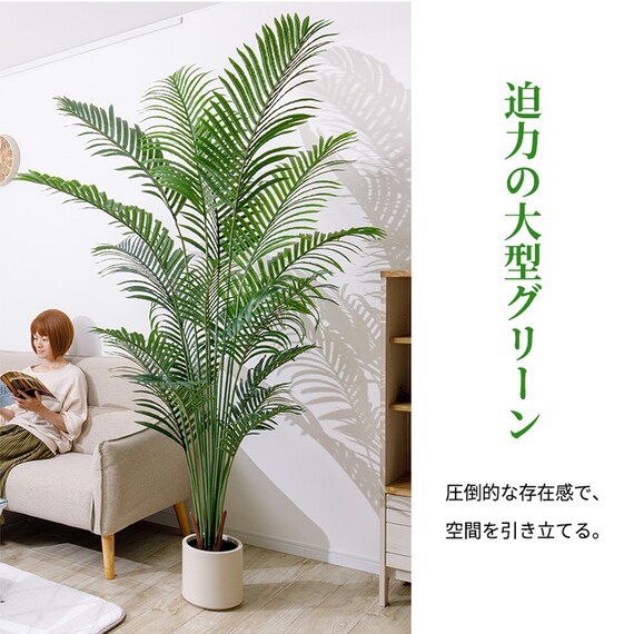 大型フェイクグリーン 200cm (ヤシの木 SN) 5枚目画像