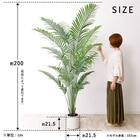 大型フェイクグリーン 200cm (ヤシの木 SN) 13枚目画像