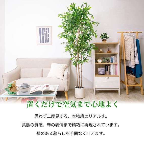 大型フェイクグリーン 200cm (ベンジャミン SN) 2枚目画像