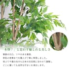 大型フェイクグリーン 200cm (ベンジャミン SN) 4枚目画像