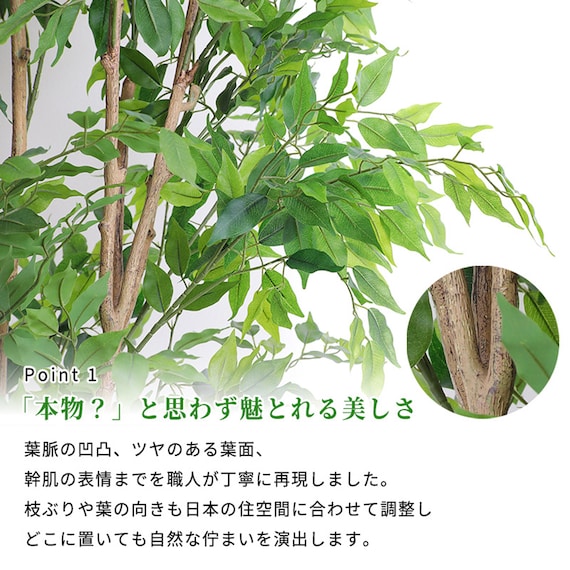 大型フェイクグリーン 200cm (ベンジャミン SN) 4枚目画像