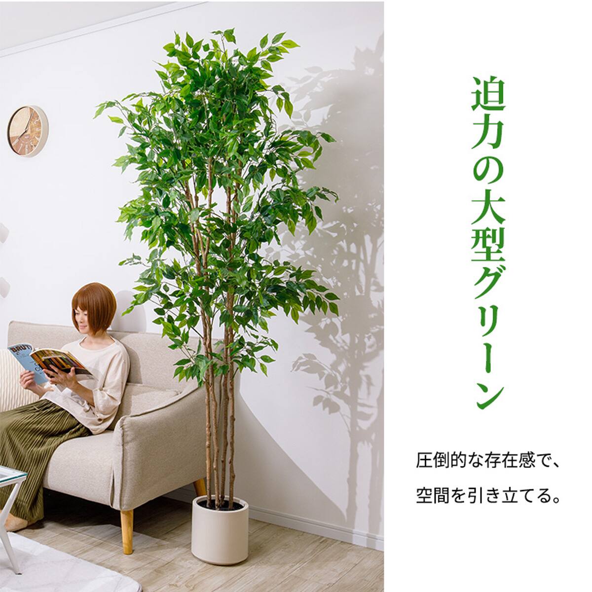 大型フェイクグリーン 200cm (ベンジャミン SN) | ニトリネット【公式