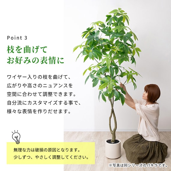 大型フェイクグリーン 200cm (ベンジャミン SN) 8枚目画像