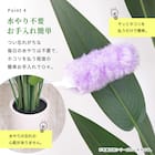 大型フェイクグリーン 200cm (ベンジャミン SN) 10枚目画像