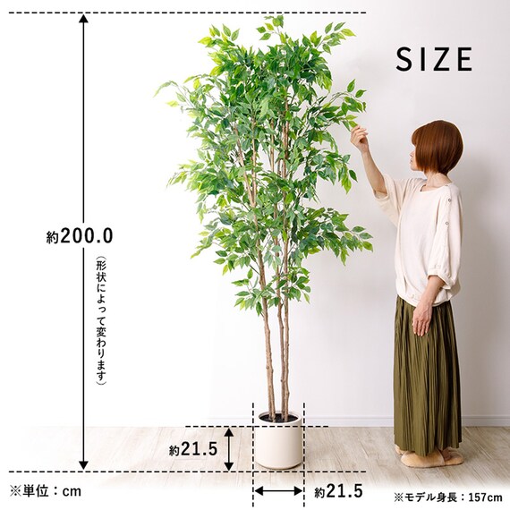 大型フェイクグリーン 200cm (ベンジャミン SN) 13枚目画像