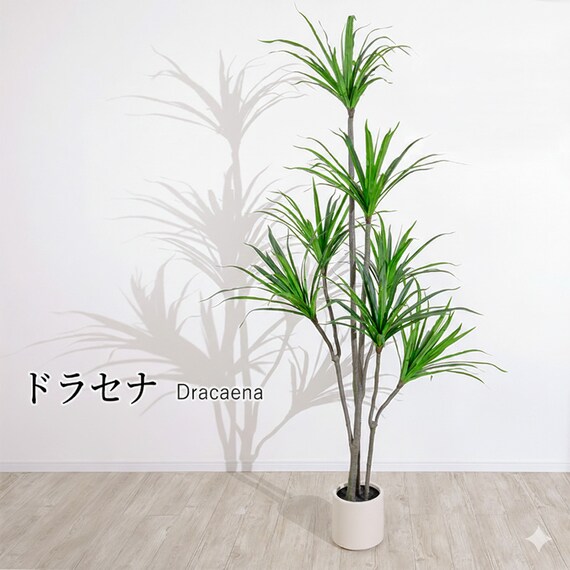 大型フェイクグリーン 215cm (ドラセナ SN) 1枚目画像