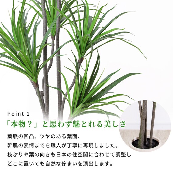 大型フェイクグリーン 215cm (ドラセナ SN) 4枚目画像