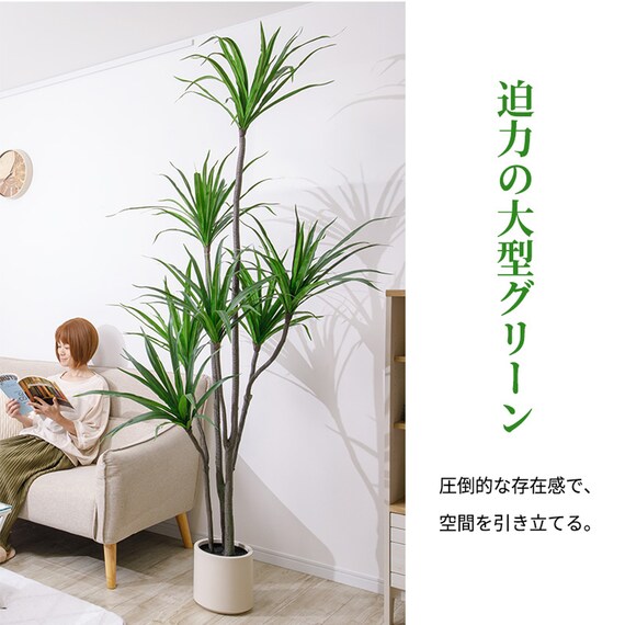 大型フェイクグリーン 215cm (ドラセナ SN) 5枚目画像