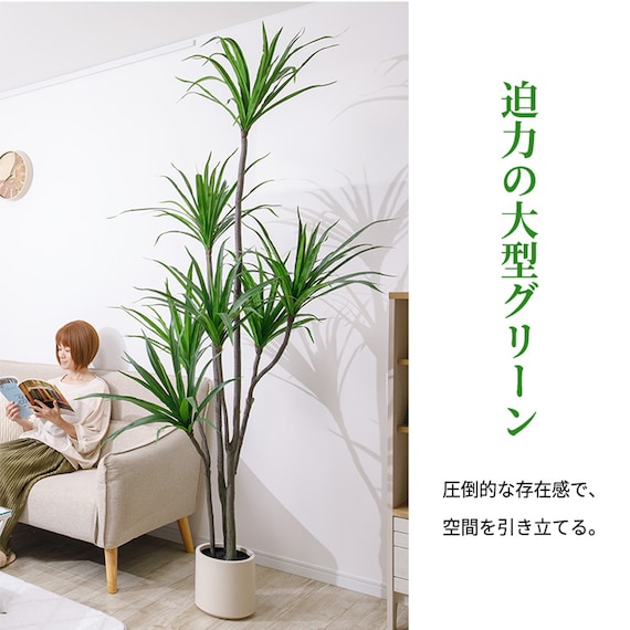 大型フェイクグリーン 215cm (ドラセナ SN) 5枚目画像