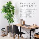 大型フェイクグリーン 215cm (ドラセナ SN) 6枚目画像