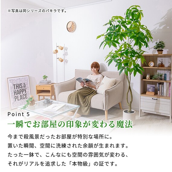 大型フェイクグリーン 215cm (ドラセナ SN) 11枚目画像