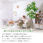 大型フェイクグリーン 215cm (ドラセナ SN) 11枚目画像