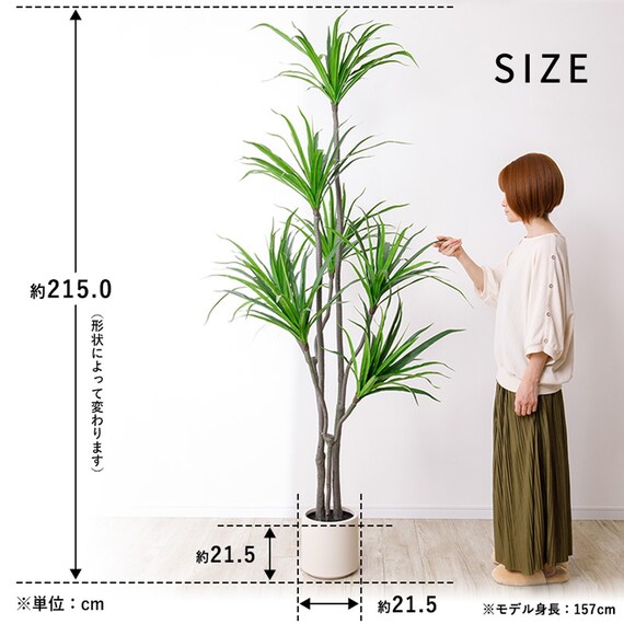 大型フェイクグリーン 215cm (ドラセナ SN) 13枚目画像