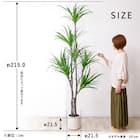 大型フェイクグリーン 215cm (ドラセナ SN) 13枚目画像
