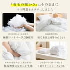 洗える 人工羽毛掛布団 2枚合わせ シングル(AD) 5枚目画像