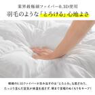 洗える 人工羽毛掛布団 2枚合わせ シングル(AD) 6枚目画像