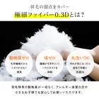 洗える 人工羽毛掛布団 2枚合わせ シングル(AD) 7枚目画像