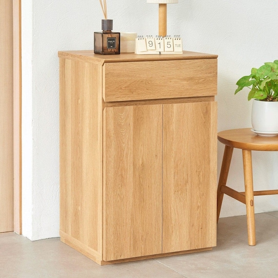 リビングキャビネット (幅45cm NTU) 1枚目画像