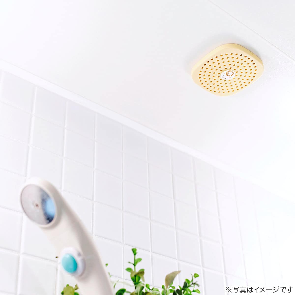 パワーバイオ お風呂のカビきれい | ニトリネット【公式】 家具