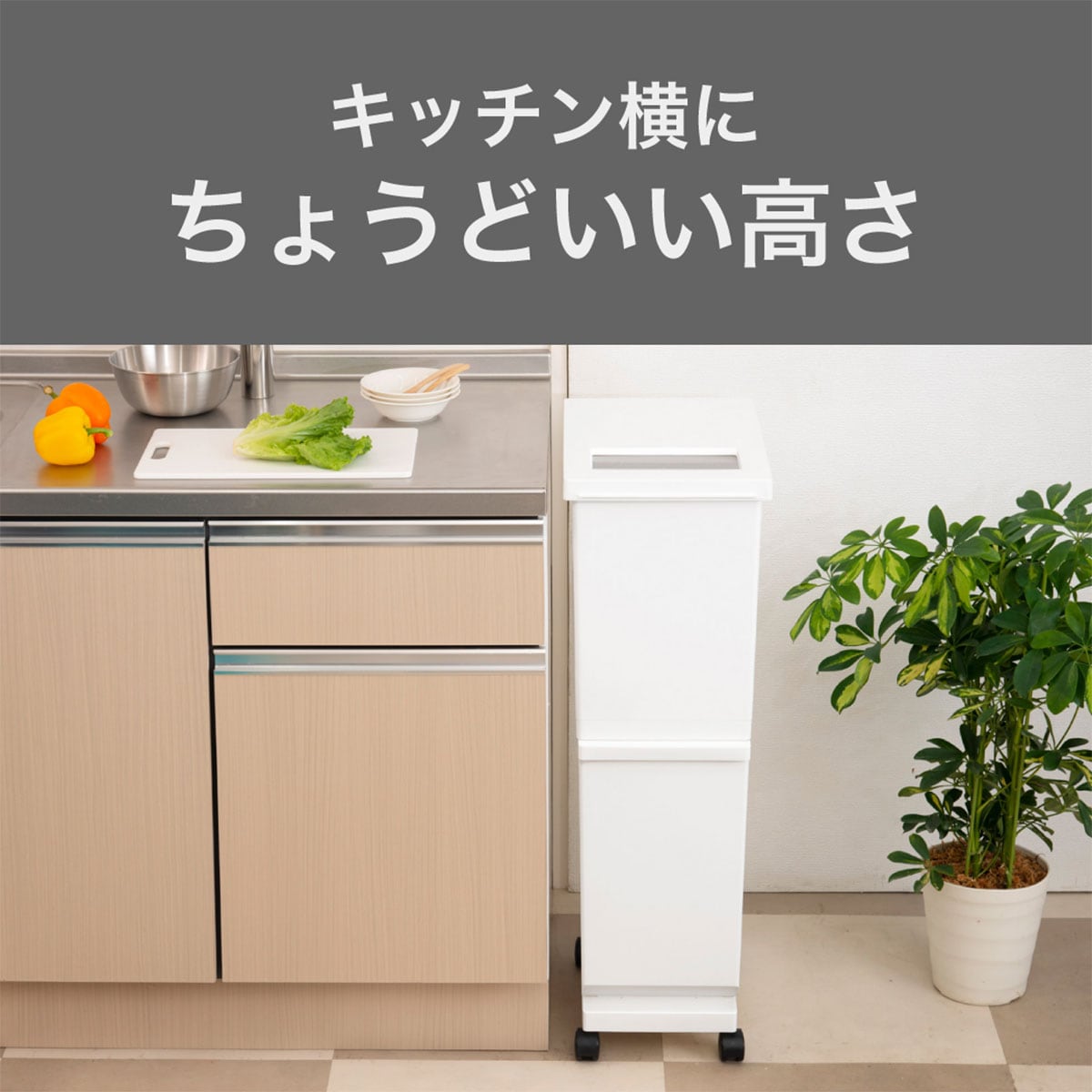 便利なプッシュフタ付き分別ペール 2段 55L(ホワイト) | ニトリネット