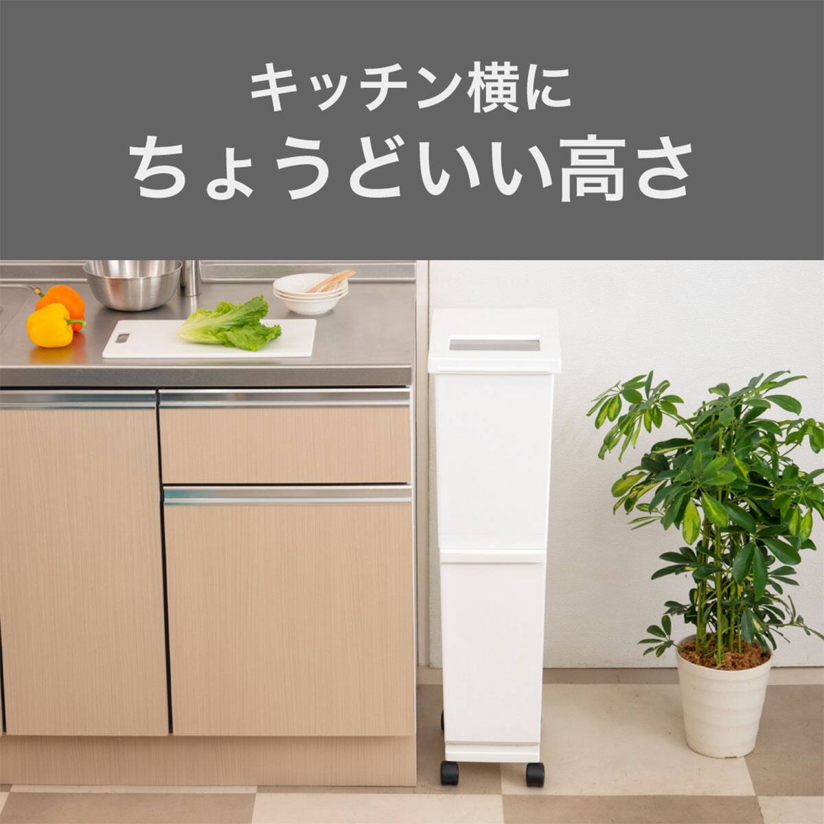 便利なプッシュフタ付き分別ペール 2段 36L(ホワイト) | ニトリネット